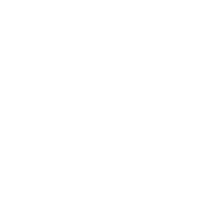 Vin